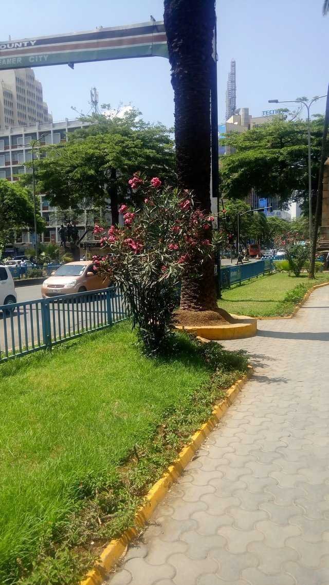 24 OctA.jpg