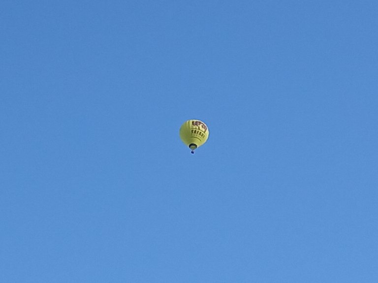 IMG_20250524_075904.jpg