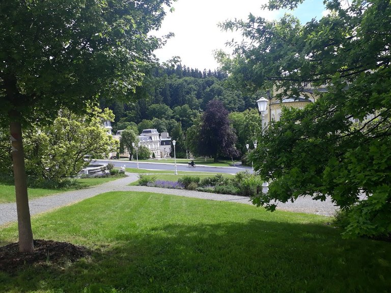 20250528_151728.jpg