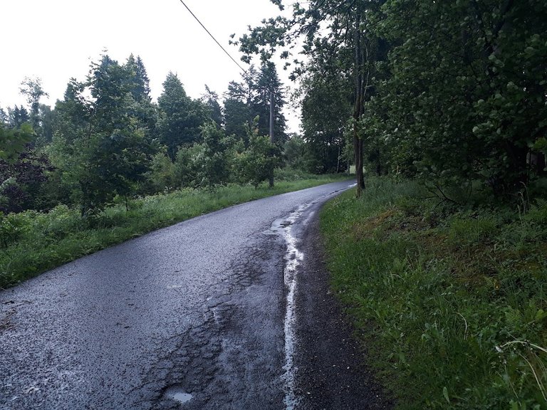 20250608_155806.jpg