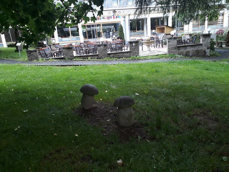 20250608_160519.jpg