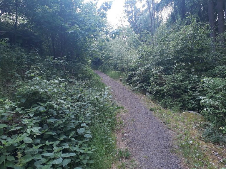 20250603_154047.jpg