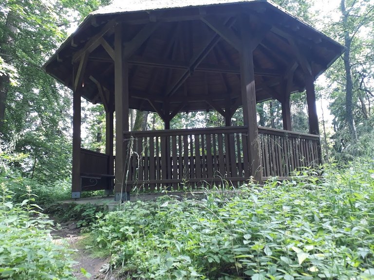 20250611_161523.jpg