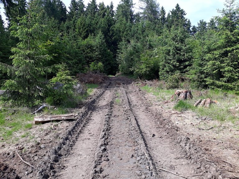 20250611_155109.jpg
