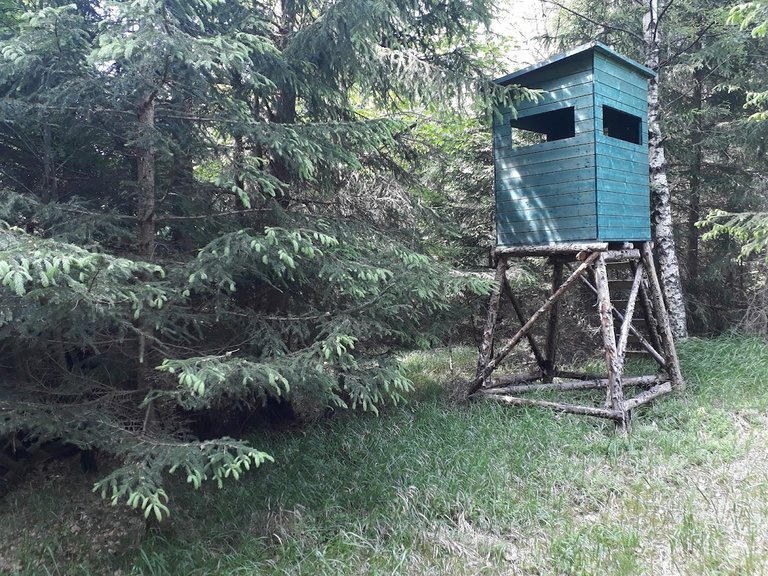 20250611_160247.jpg