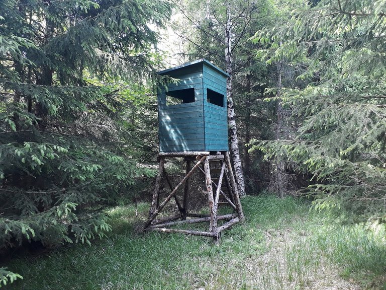 20250611_160243.jpg