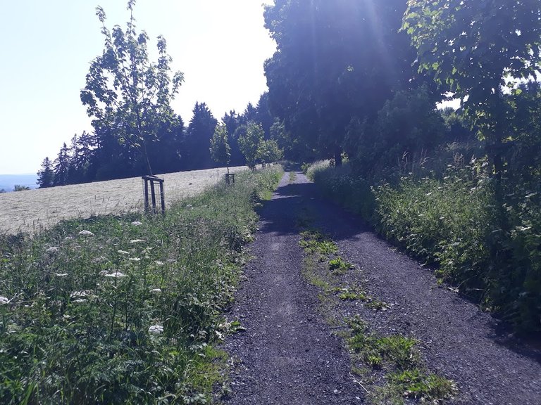 20250614_161427.jpg