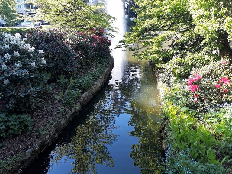 20250513_164516.jpg