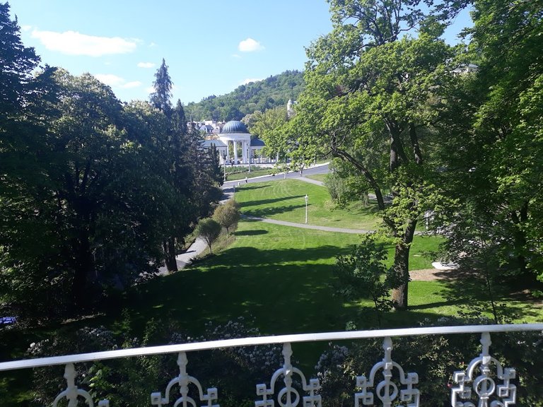 20250513_163726.jpg