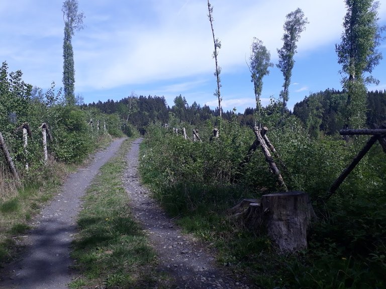 20250506_154237.jpg