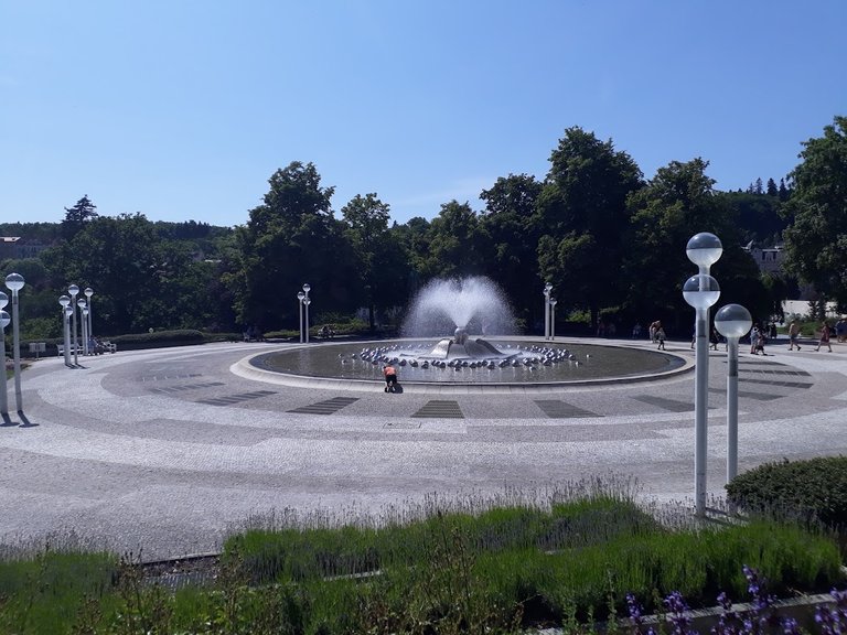 20250620_152249.jpg