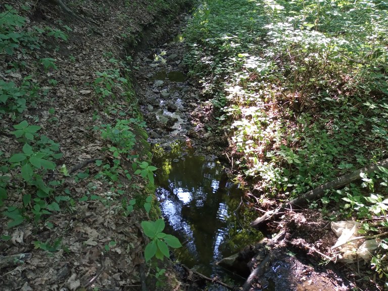 IMG_20250621_180126.jpg