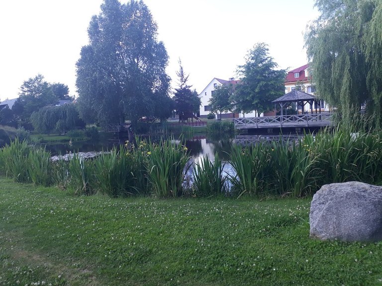 20250625_171928.jpg