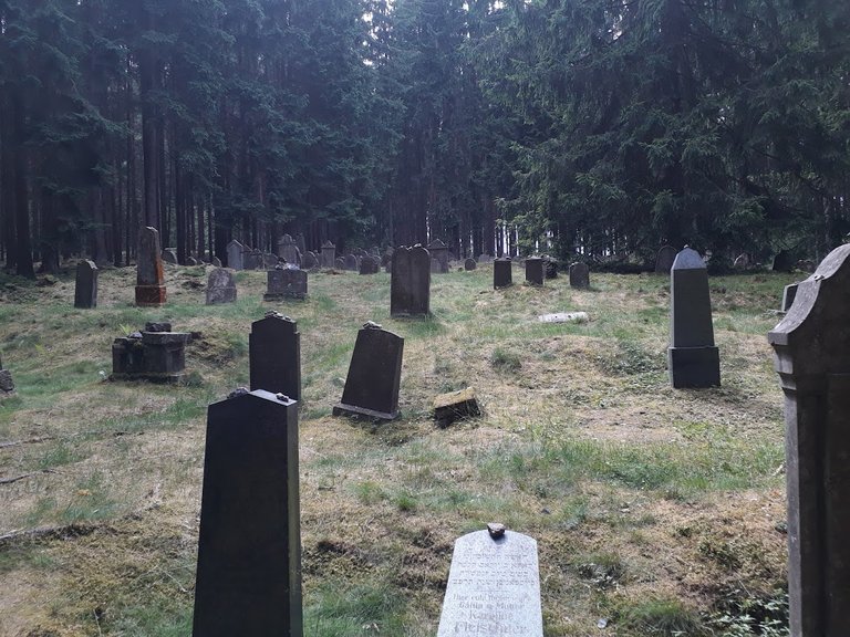 20250626_151125.jpg