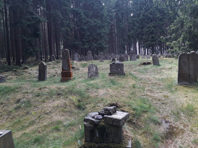20250626_151135.jpg