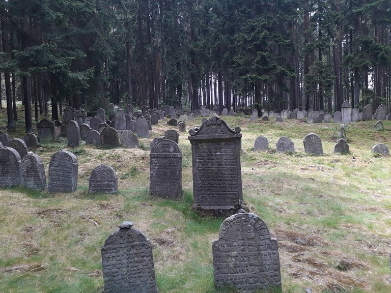 20250626_151203.jpg