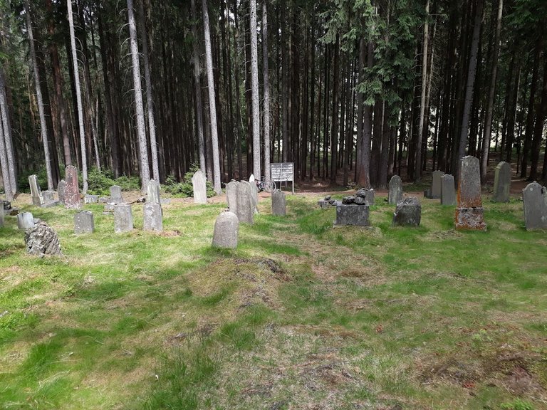 20250626_151208.jpg