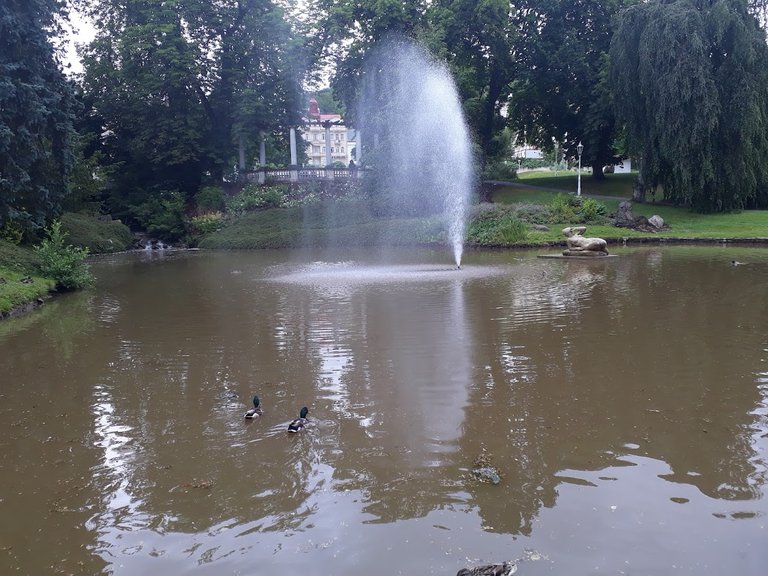20250627_153810.jpg