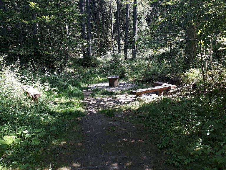 20250704_153600.jpg