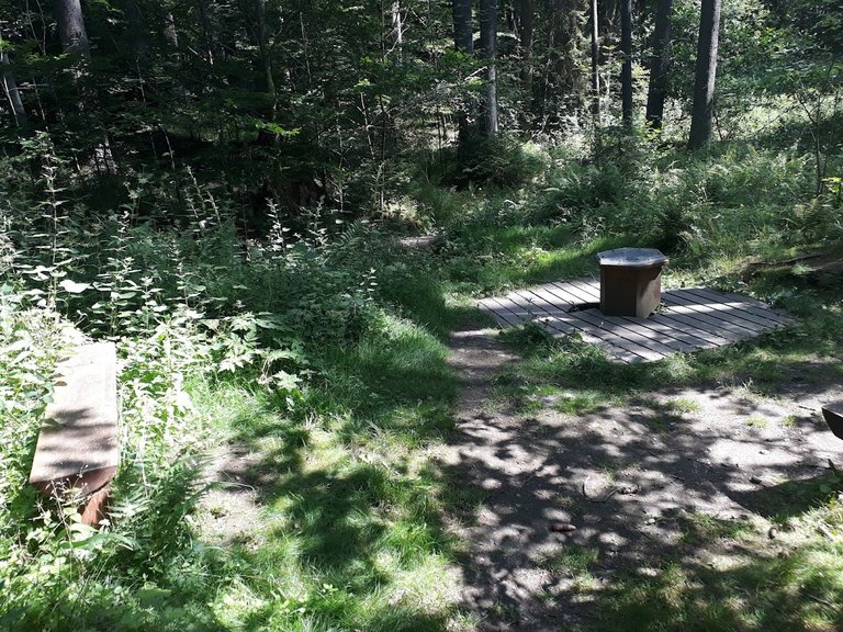 20250704_153607.jpg