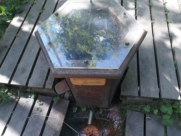 20250704_153625.jpg