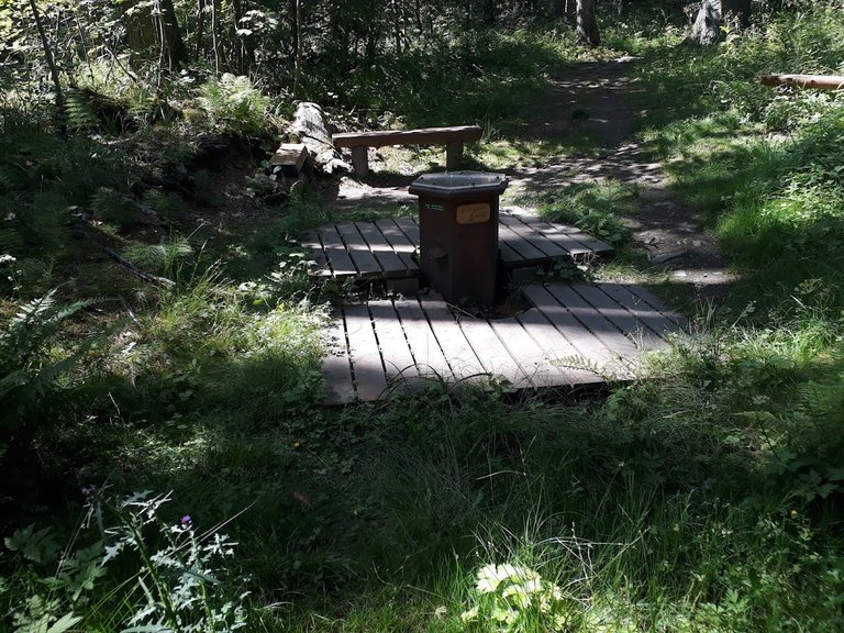 20250704_153657.jpg