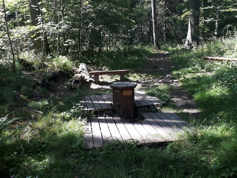 20250704_153700.jpg