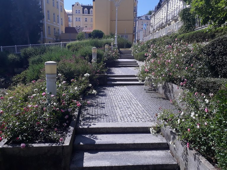 20250704_154530.jpg