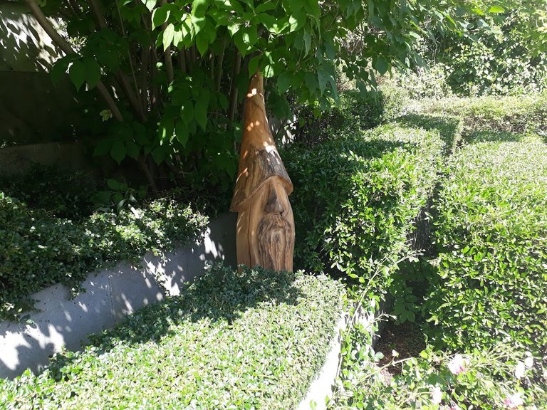 20250704_154520.jpg