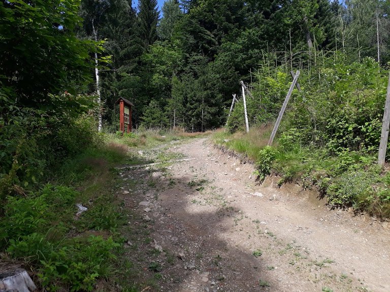 20250709_152548.jpg