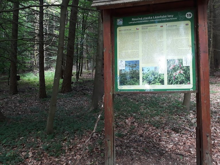 20250709_153531.jpg