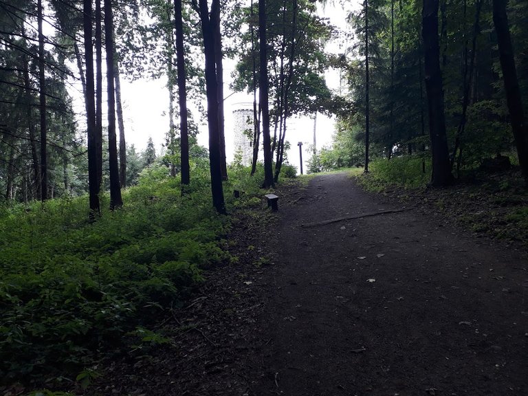 20250709_154141.jpg