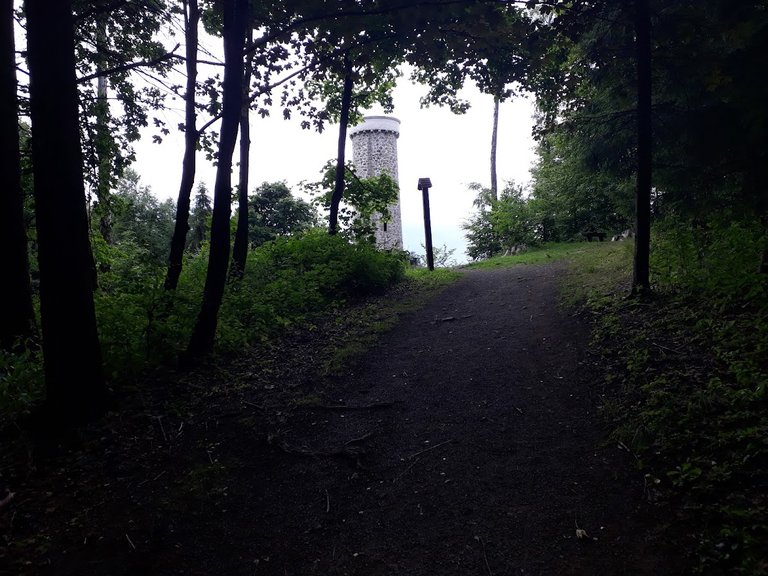 20250709_154153.jpg