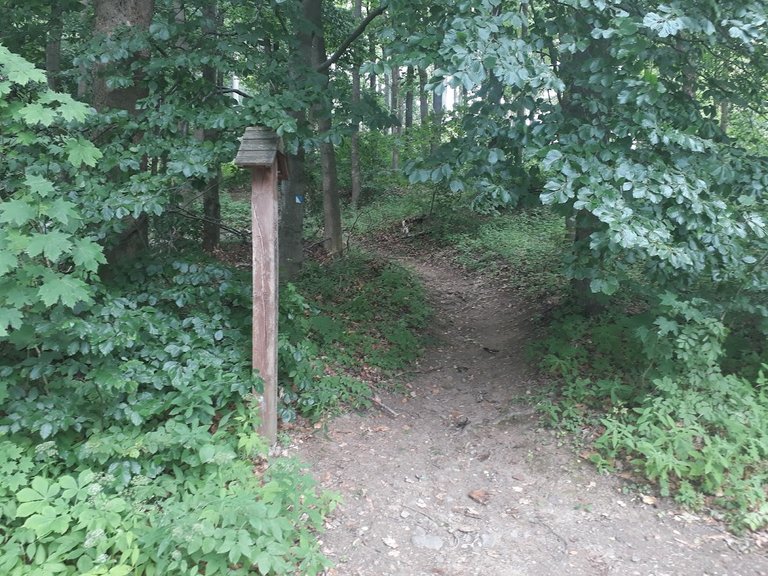 20250709_155110.jpg