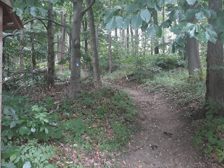 20250709_155116.jpg