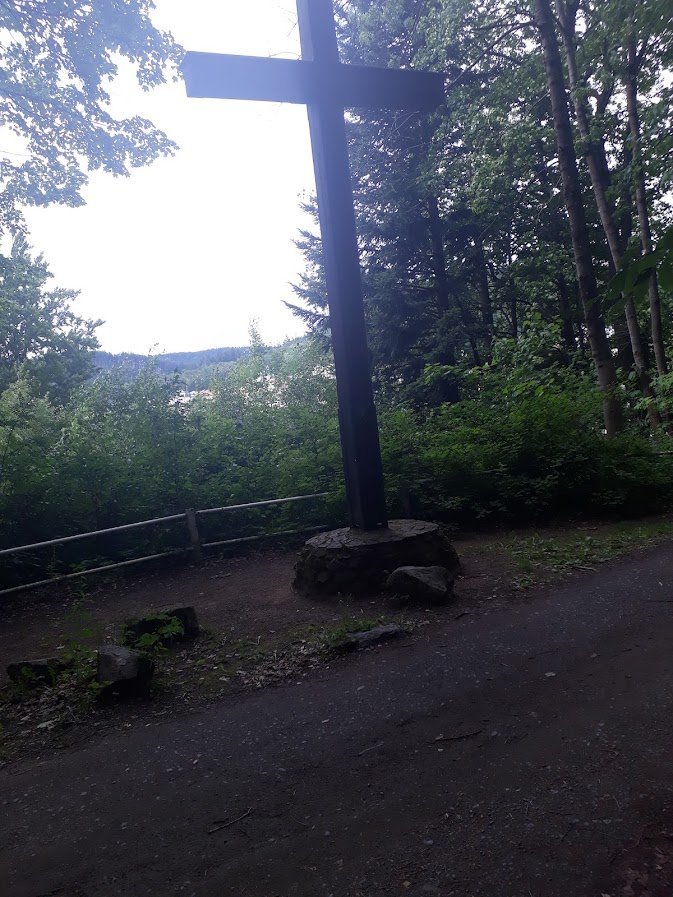 20250709_155141.jpg