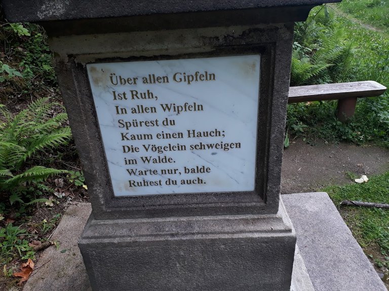 20250709_154840.jpg