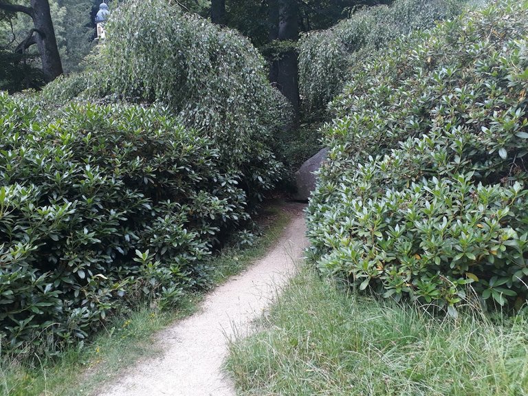 20250714_151715.jpg