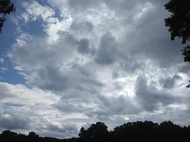 IMG_20250716_160421.jpg
