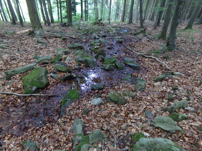 100_0619.JPG