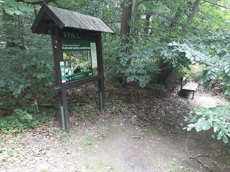 20250714_151904.jpg
