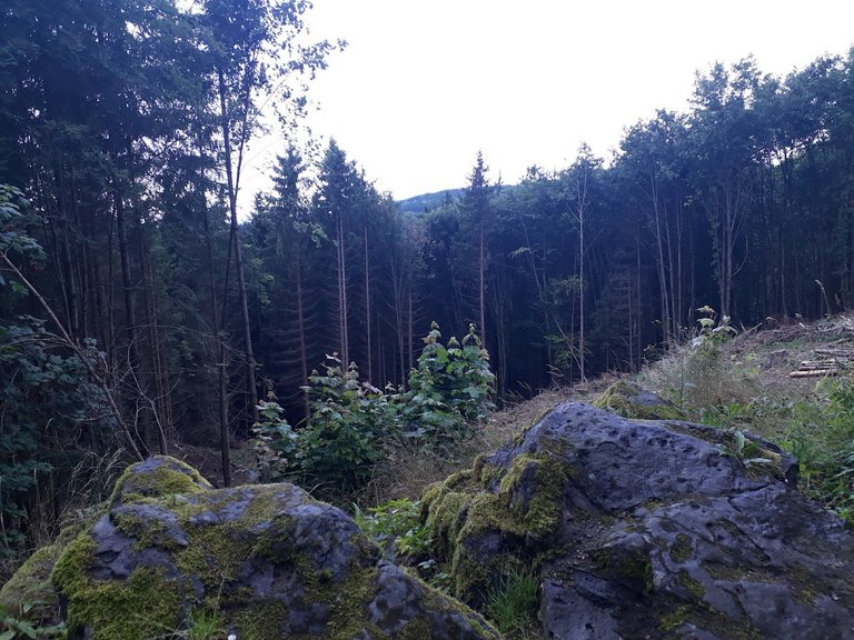 20250722_160621.jpg
