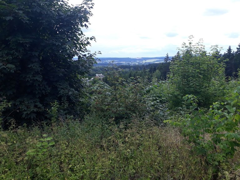 20250724_160629.jpg