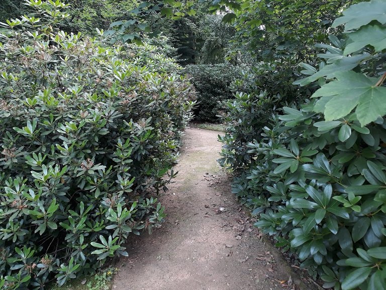 20250724_155845.jpg