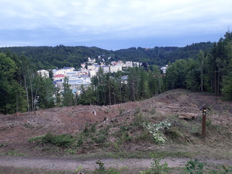 20250724_155608.jpg