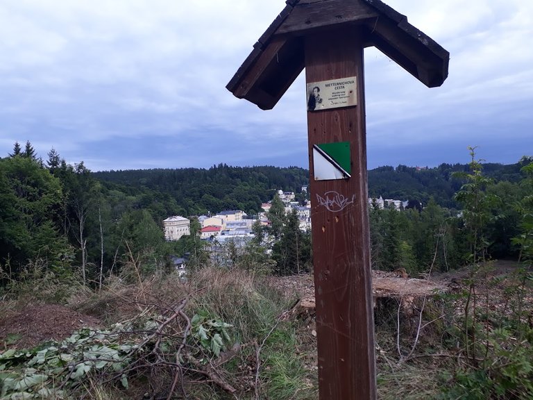 20250724_155519.jpg