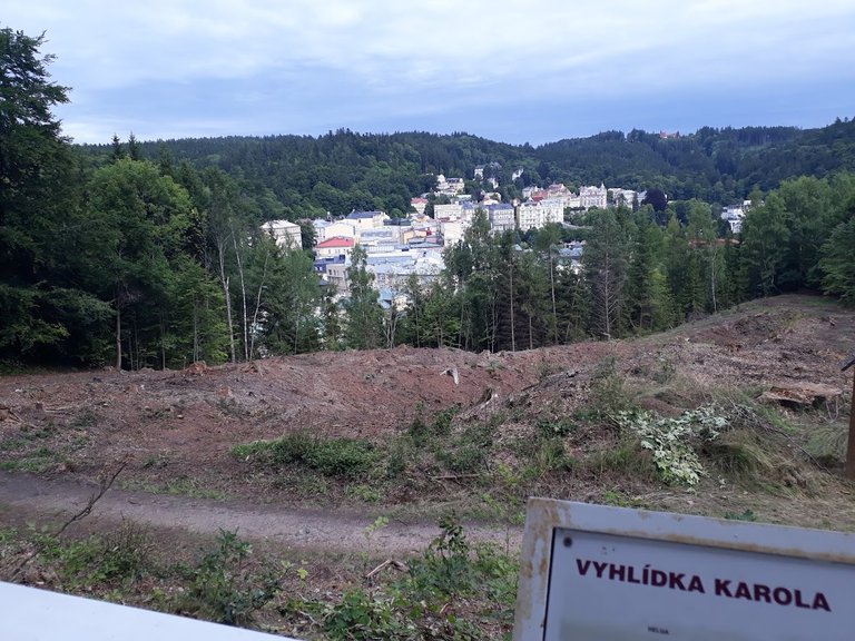 20250724_155614.jpg