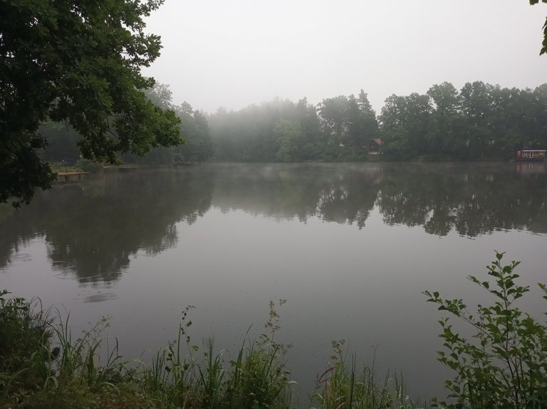 IMG_20250726_064836.jpg