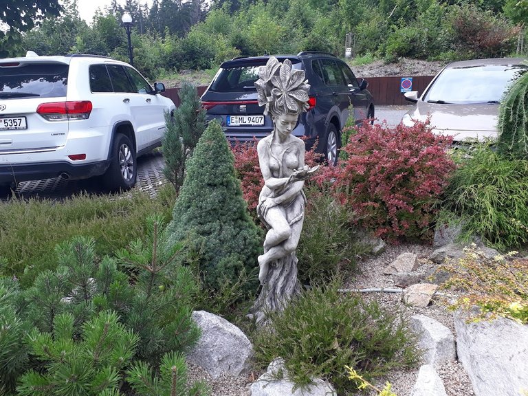 My Actifit Report Card: July 26 2025