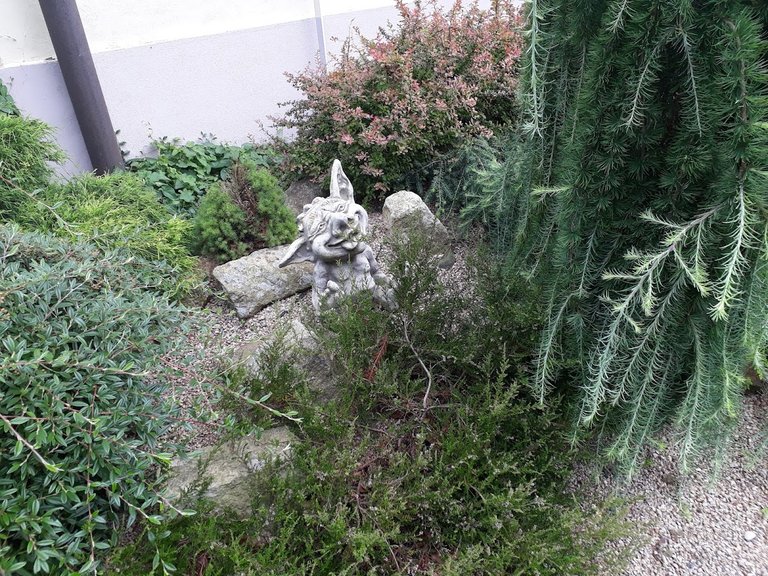 20250724_160523.jpg